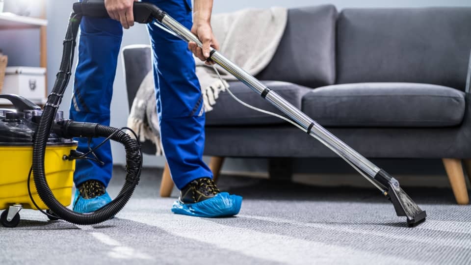 carpet cleaning responsibilities